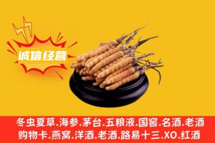 铜川市印台回收冬虫夏草